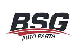 BSG